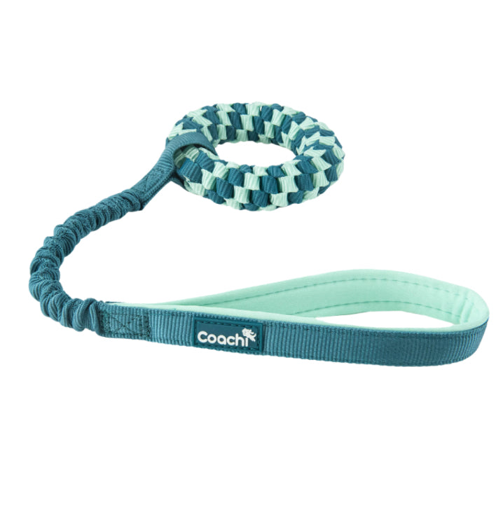 Coachi Play Toys