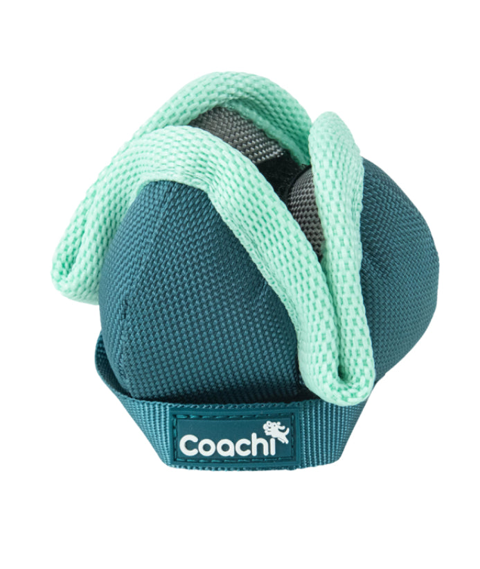 Coachi Play Toys