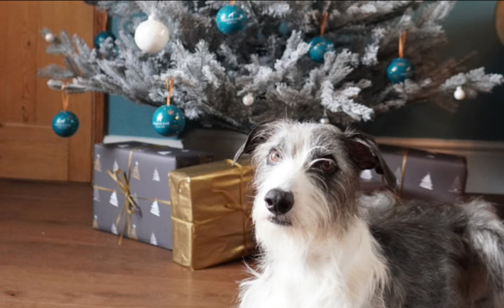 The Innocent Hound - Christmas Bauble with Treats