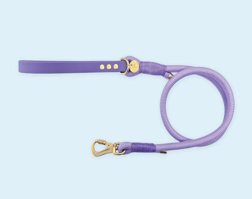 Biothane Rope Lead - 4ft