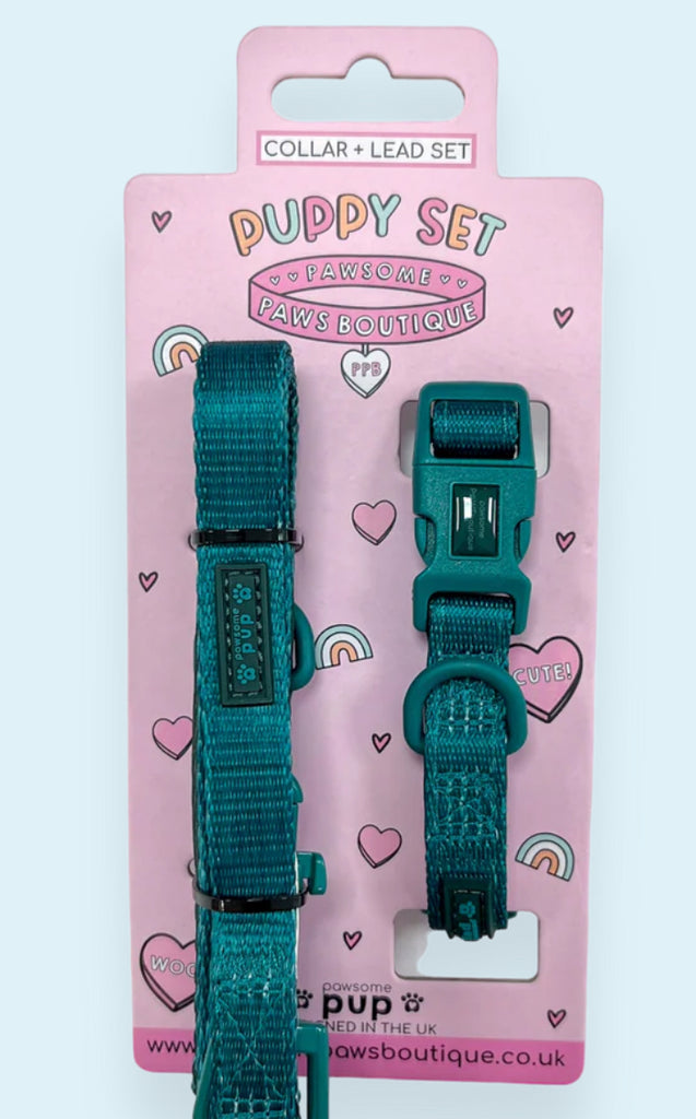 Puppy Collar & Lead Set - Pawsome Paws Boutique