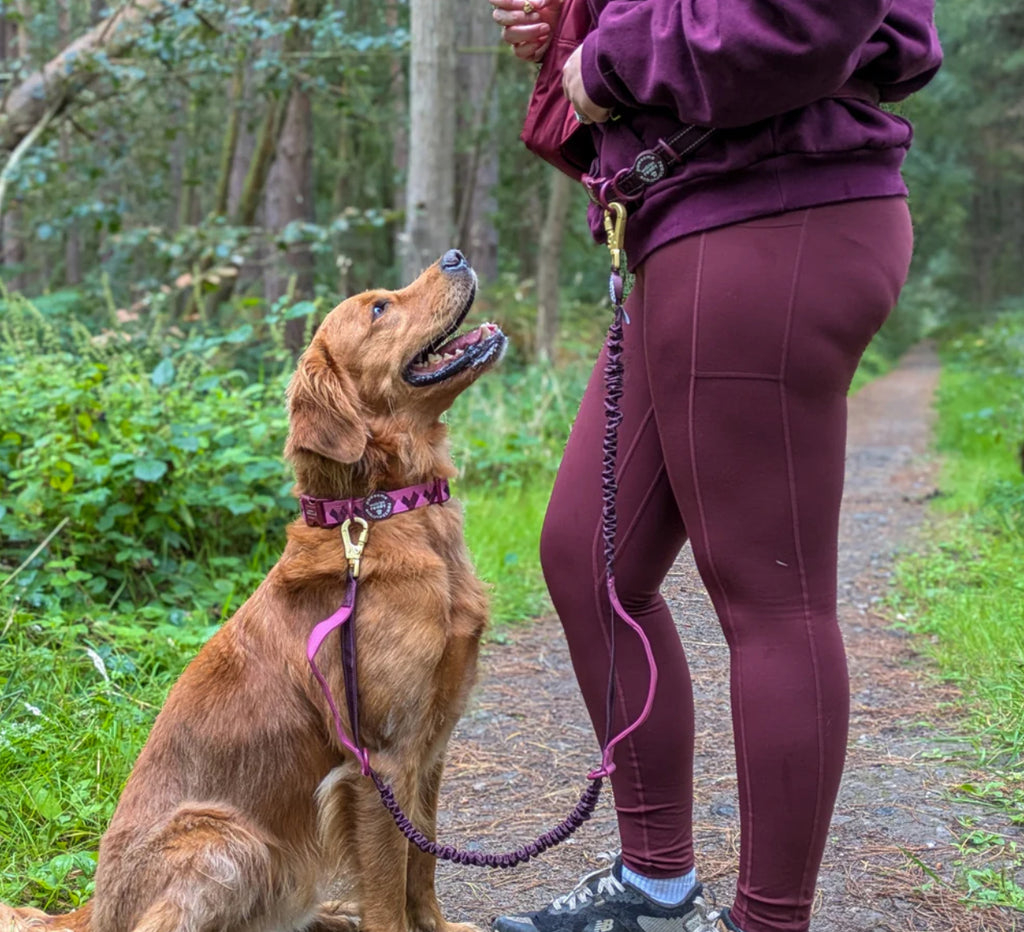 Hands Free Lead - Pawsome Paws Boutique