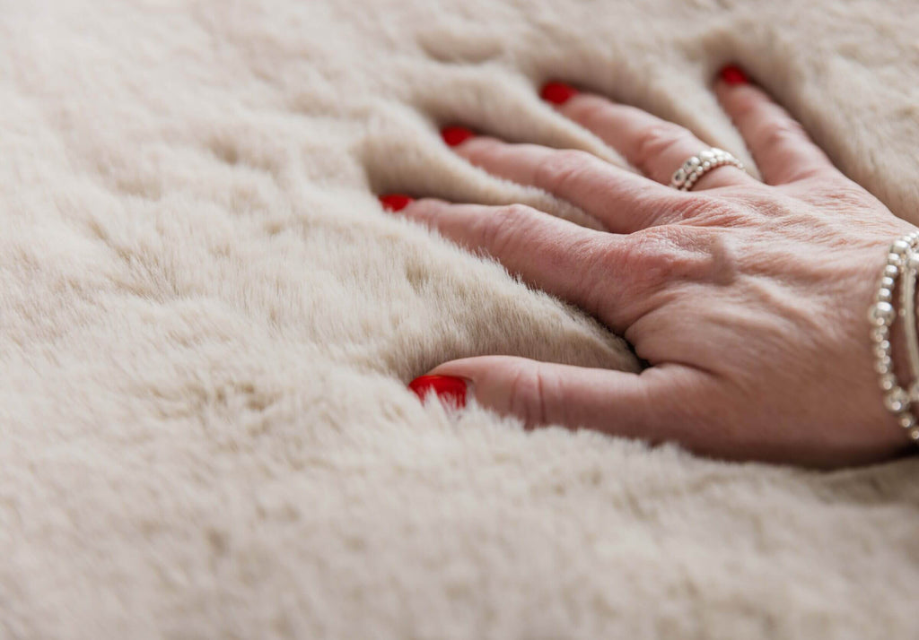 Comfy cover sofa (Pet Rebellion)