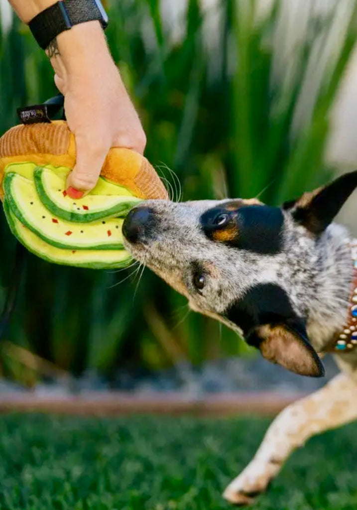 Barking Brunch Avocado Toast