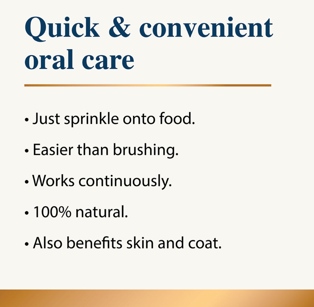 Karnlea Dental with Mint