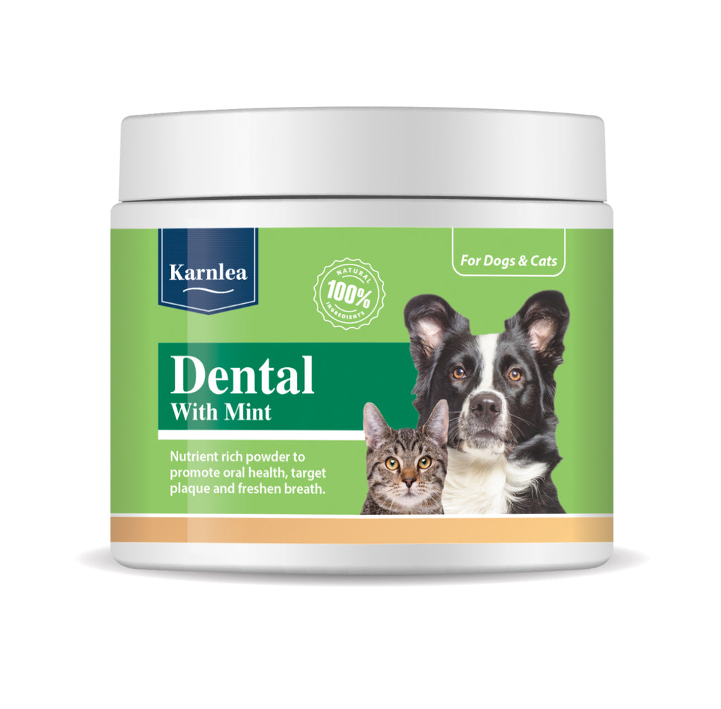 Karnlea Dental with Mint