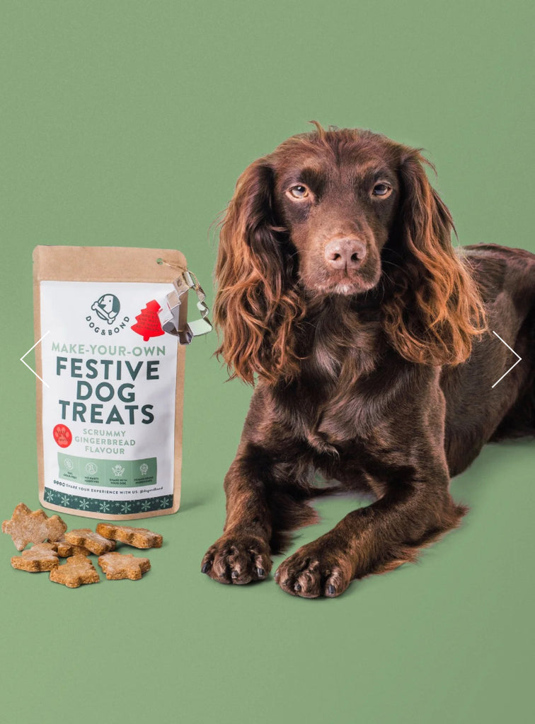 Dog & Bond Make Your Own Festive Treats