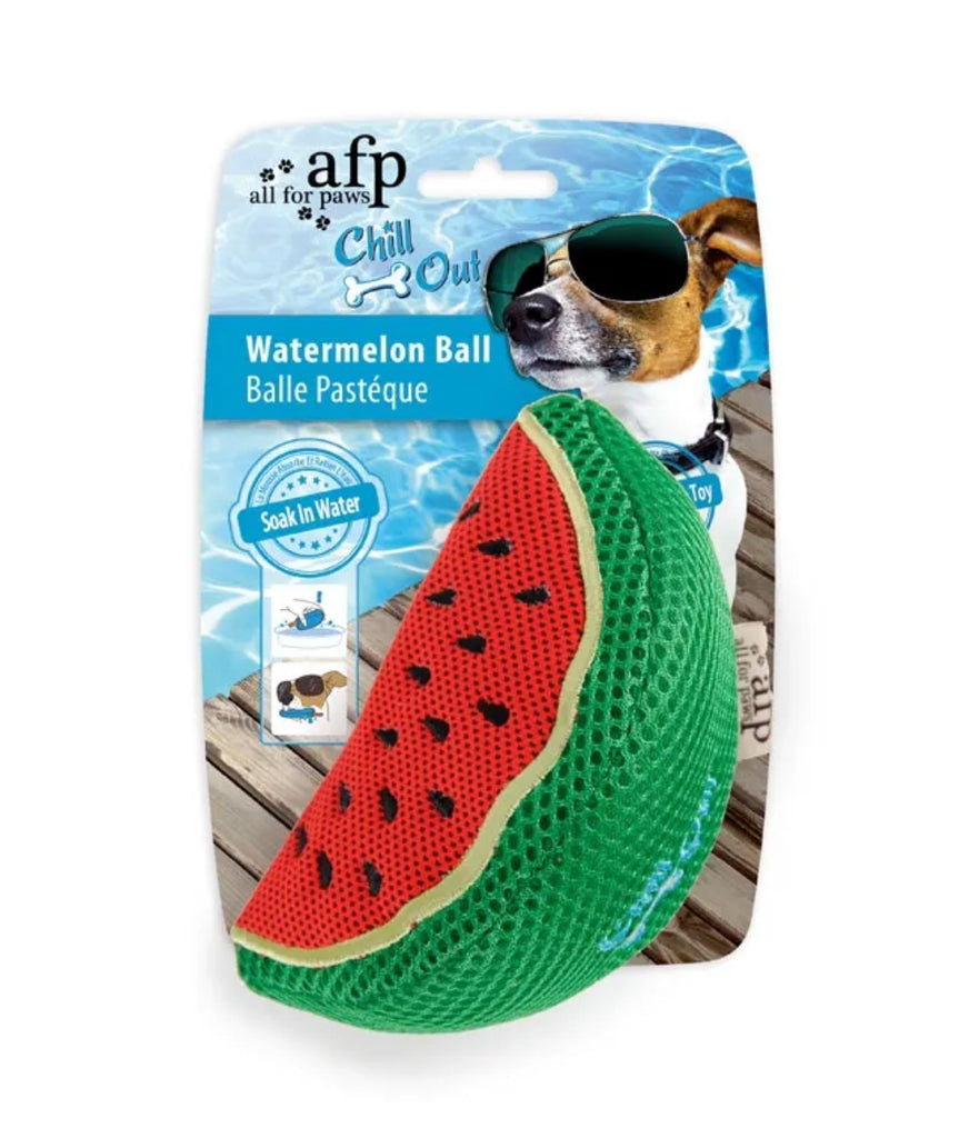 Chill Out Watermelon Slice Toy