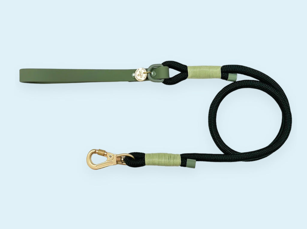 Biothane Rope Lead - 4ft