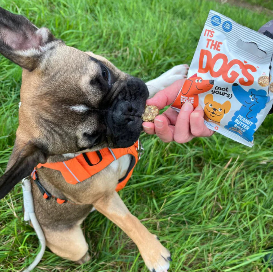 It’s The Dogs Peanut Butter protein balls