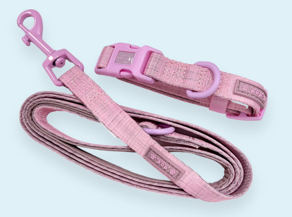 Puppy Collar & Lead Set - Pawsome Paws Boutique