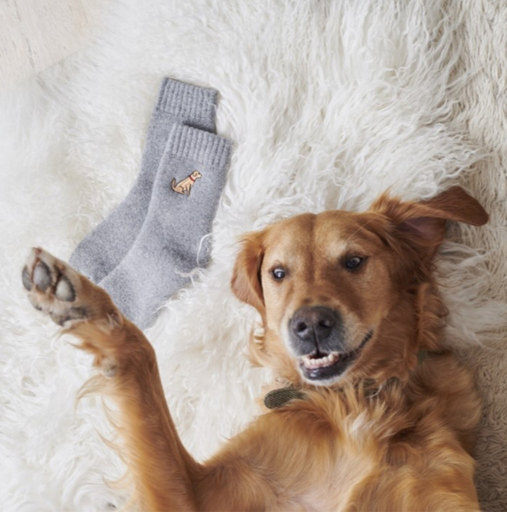 Sweet William Unisex Dog Walking Socks