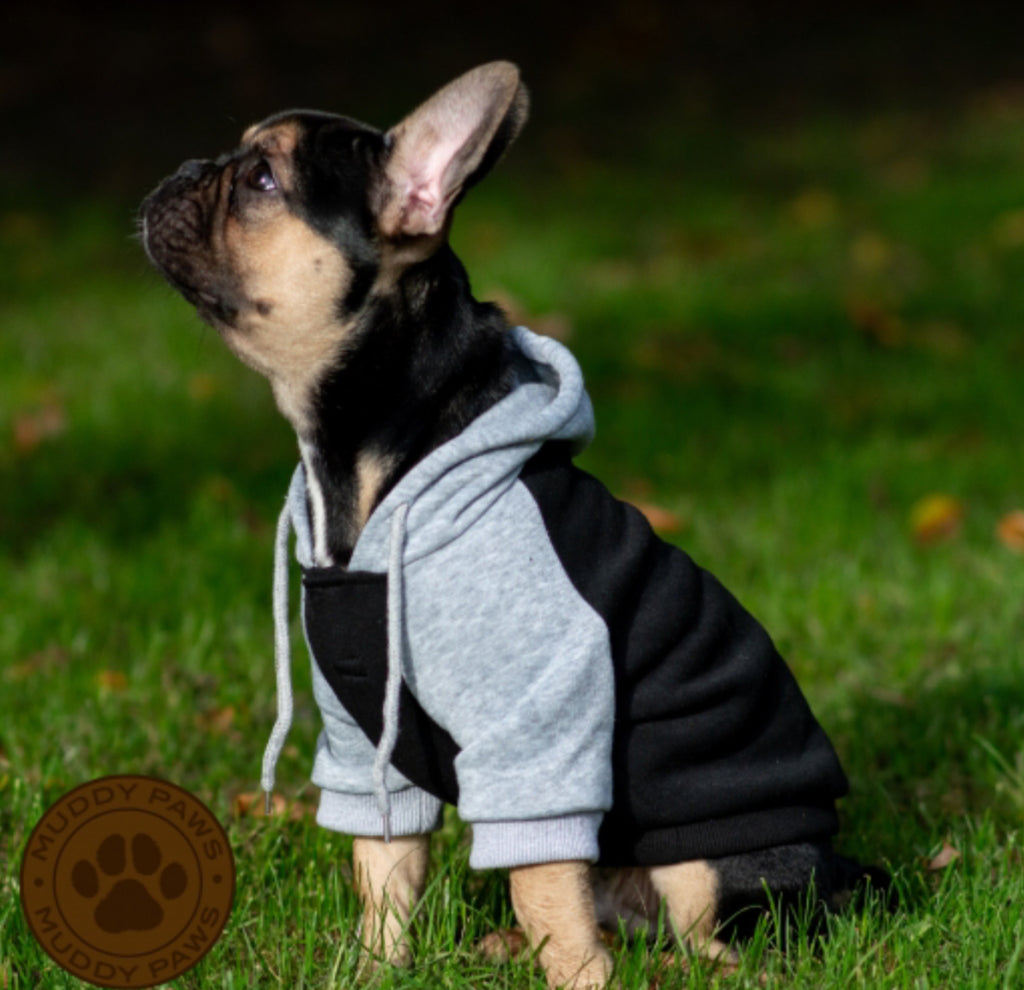 Ancol Black and Grey Dog Hoodie