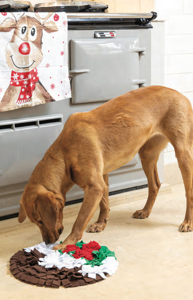 Snuffle Christmas Pudding - Treat toy