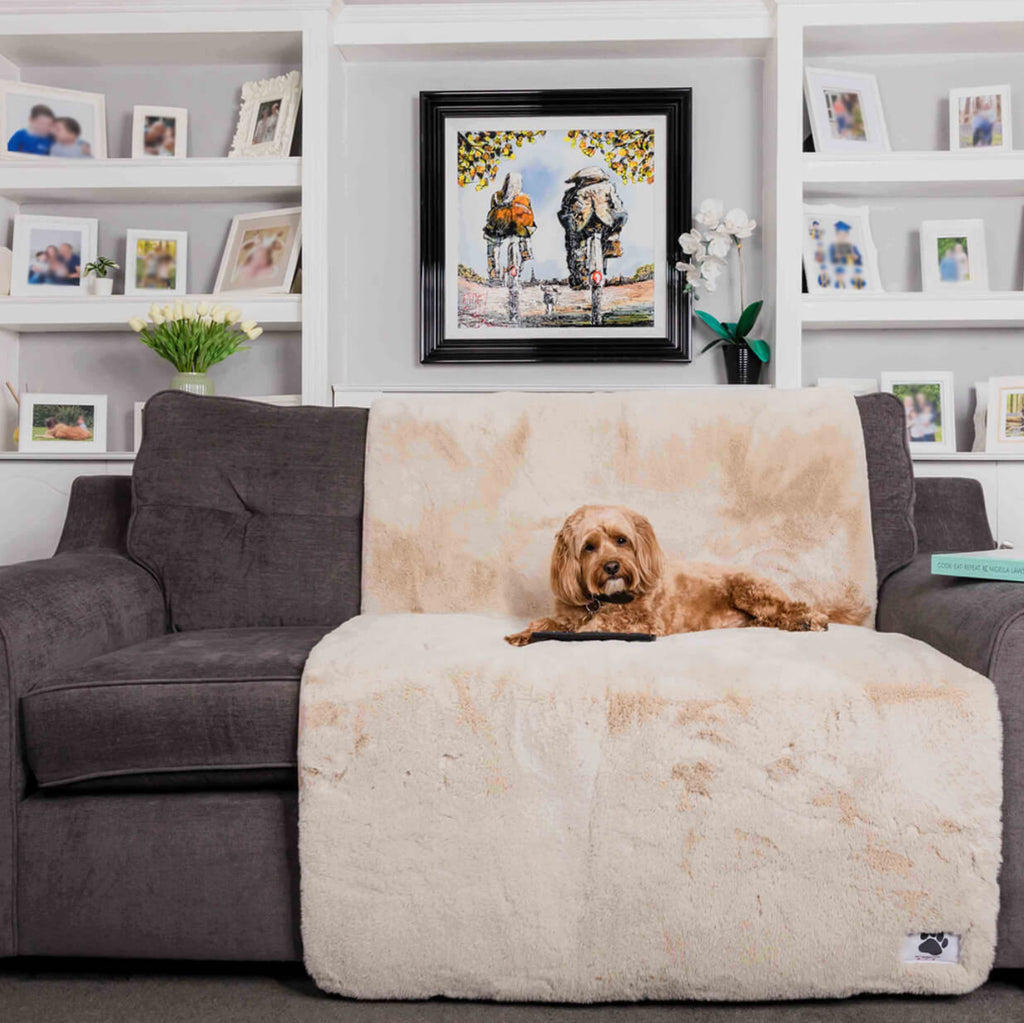 Comfy cover sofa (Pet Rebellion)