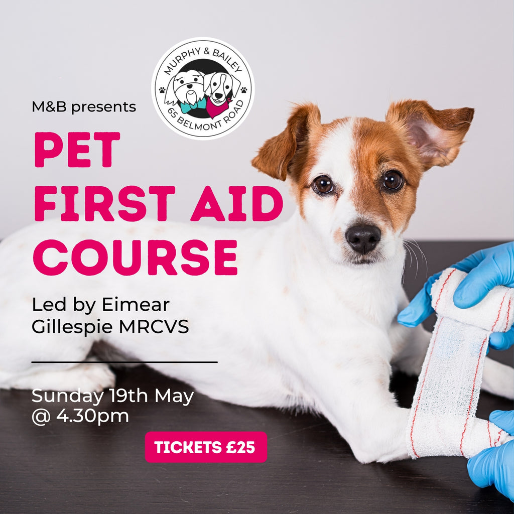 Pet First Aid Course (with Eimear Gillespie MRCVS)