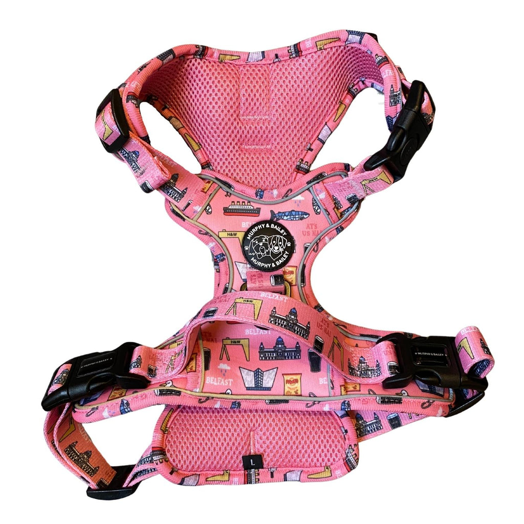 Explore Harness - PINK - Mutts about Belfast
