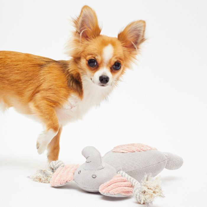 Elephant Plush & Rope Puppy Toy