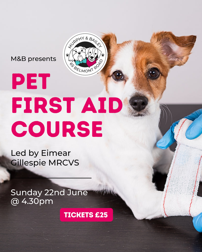 Pet First Aid Course (with Eimear Gillespie MRCVS)
