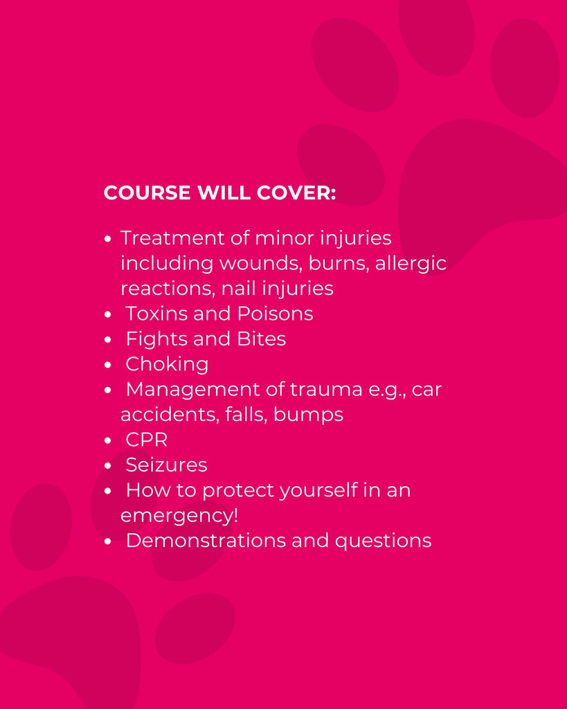 Pet First Aid Course (with Eimear Gillespie MRCVS)