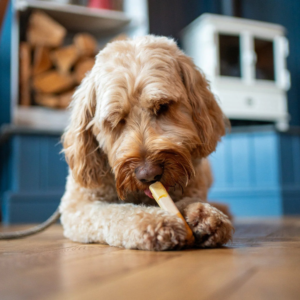 The Canine Menu - Pup Ice