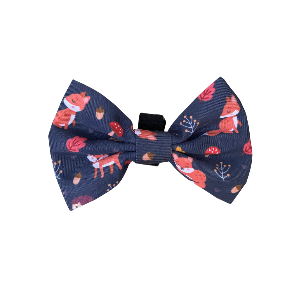 Murphy & Bailey Bow Tie - Let’s get foxy!