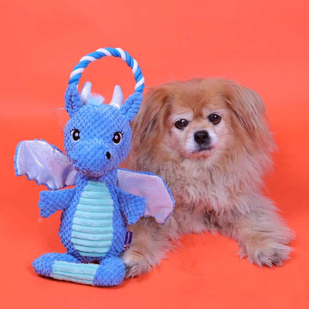 Blue Dragon Tug Toy