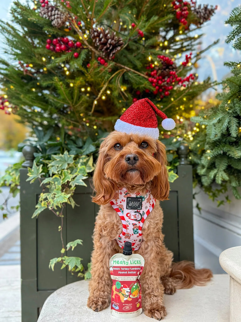 Meaty Licks Festive Turkey