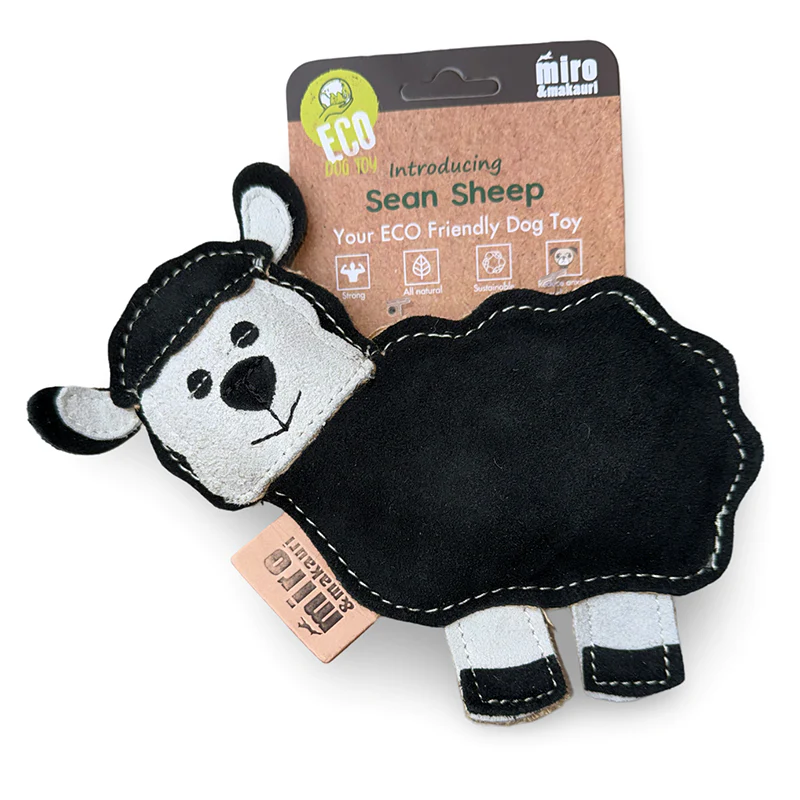 Sean the sheep