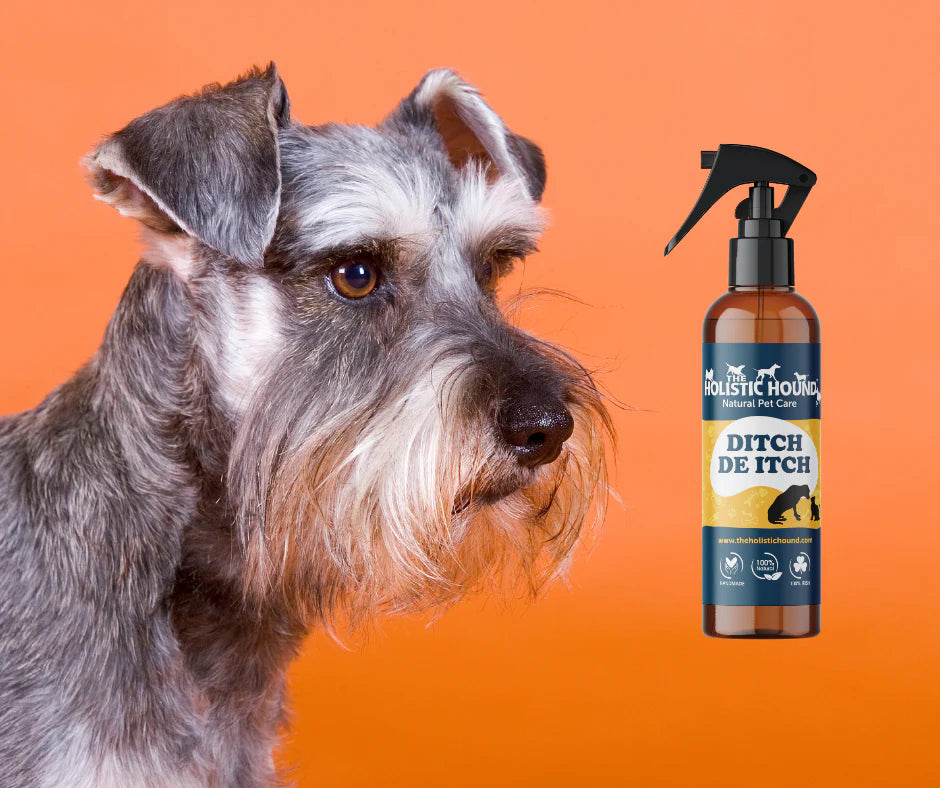 Ditch de Itch by The Holistic Hound