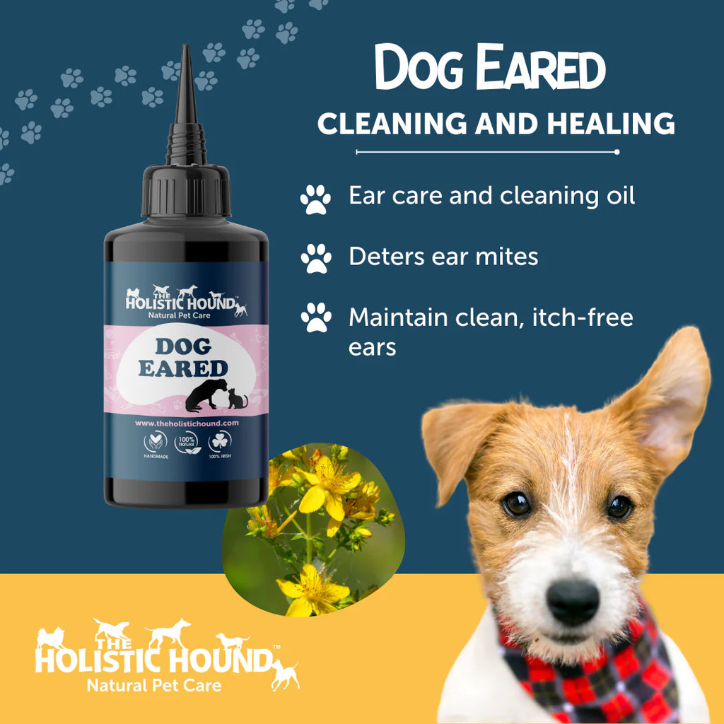 Dog Eared by The Holistic Hound