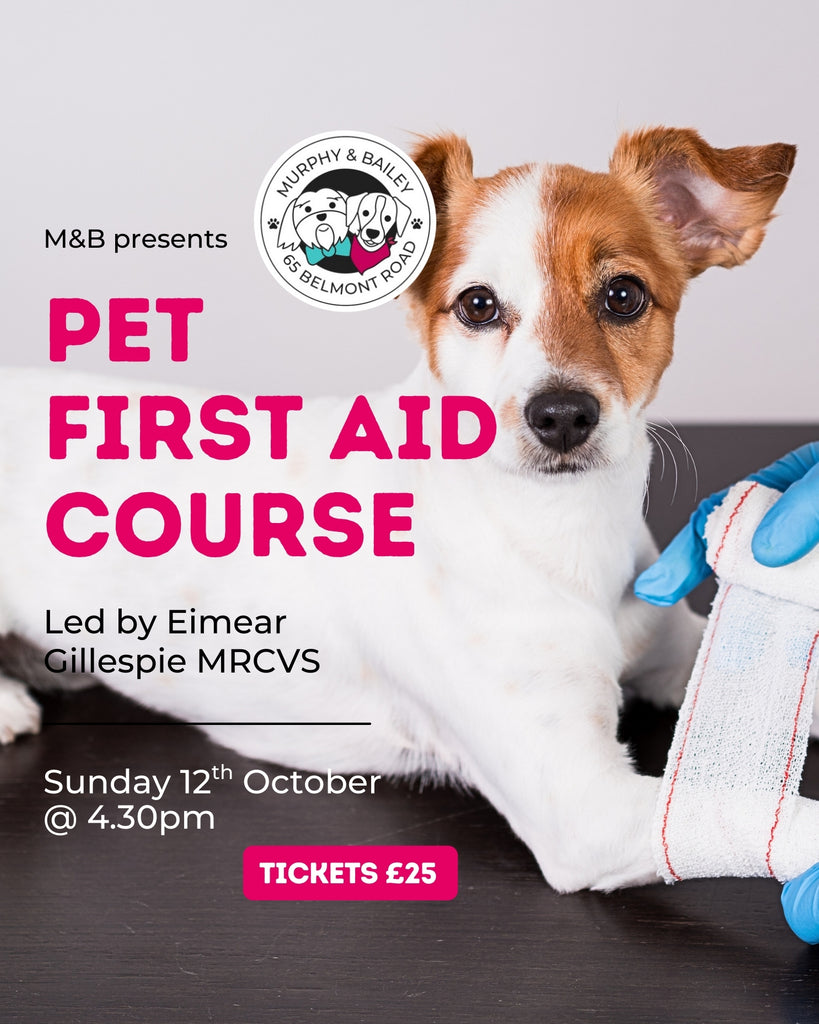 Pet First Aid Course (with Eimear Gillespie MRCVS)