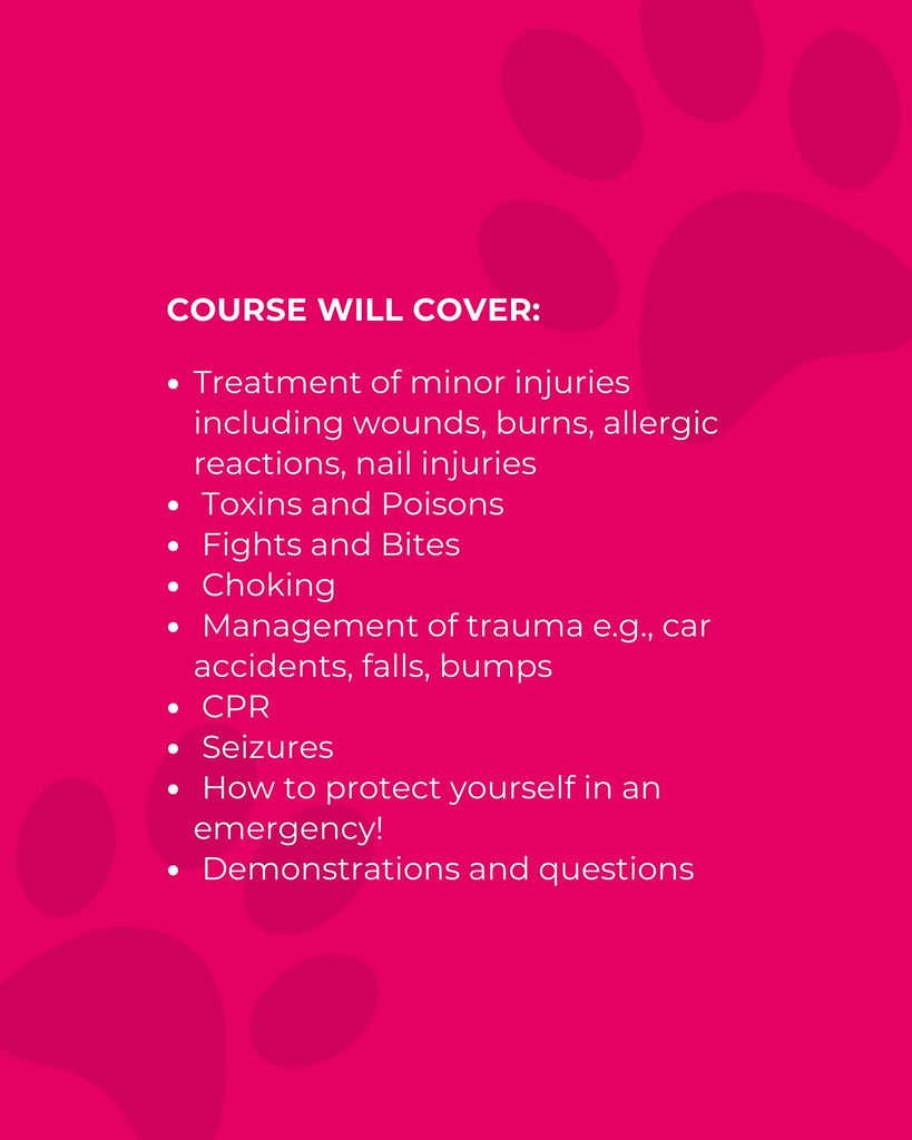 Pet First Aid Course (with Eimear Gillespie MRCVS)