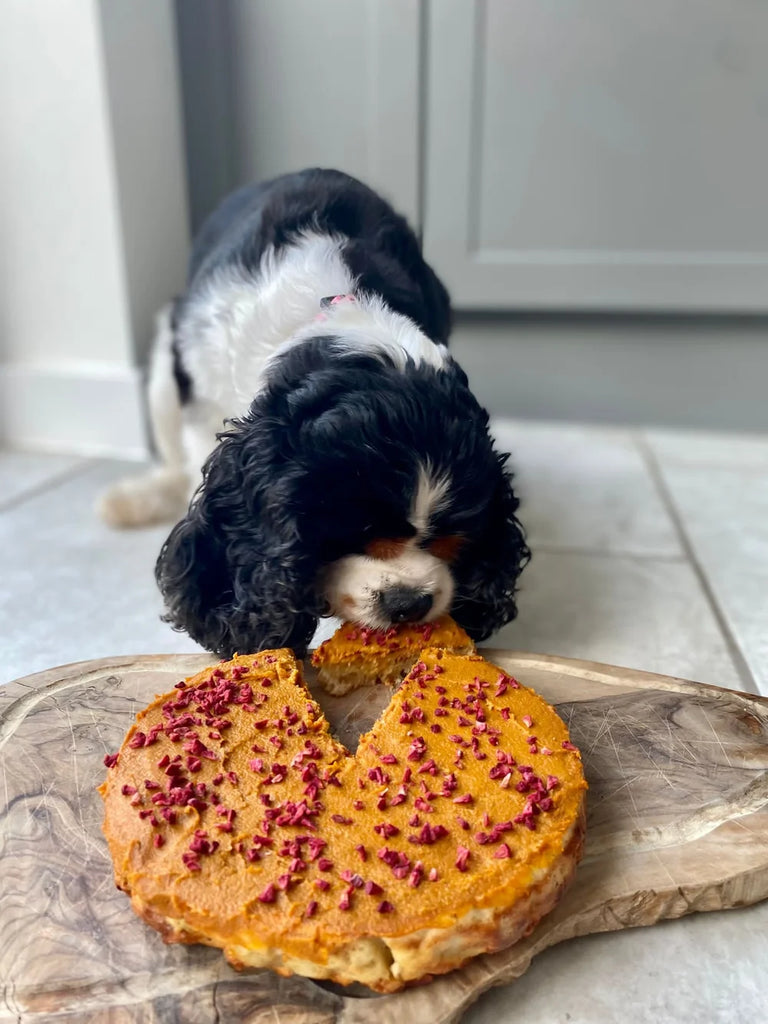 Dog & Bond - Boxed Dog Cake Mix