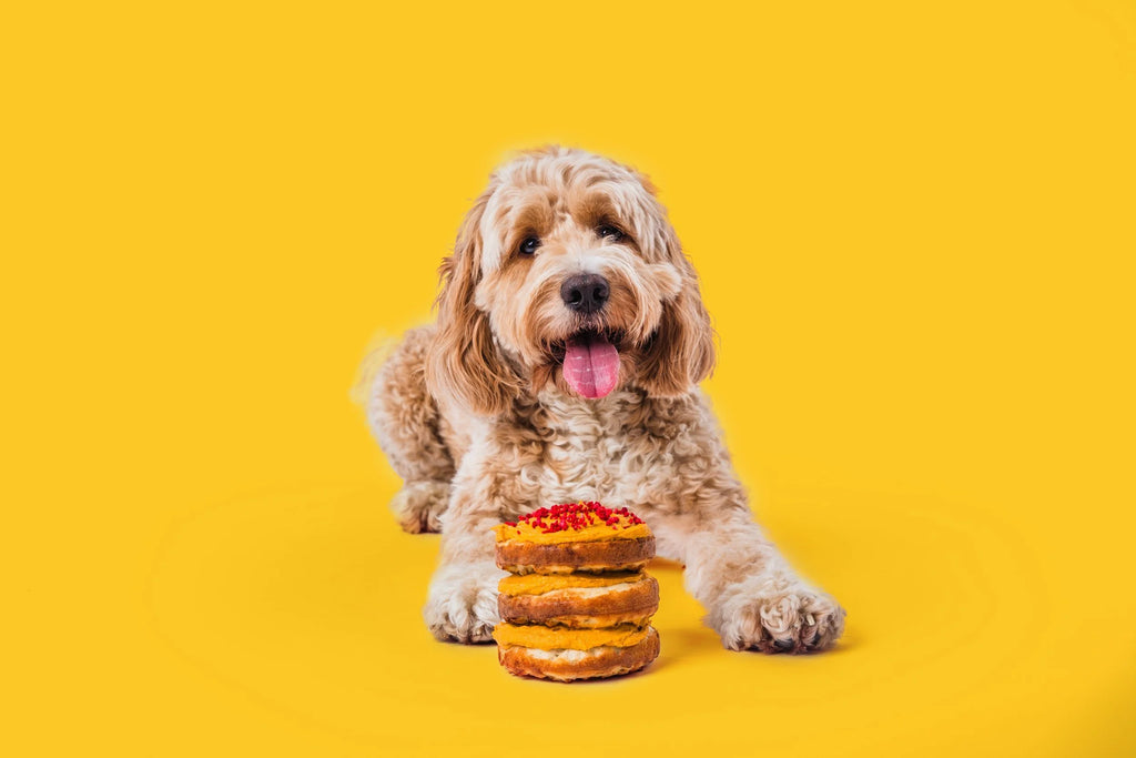 Dog & Bond - Boxed Dog Cake Mix