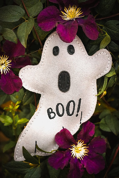 Aurora Paws Halloween