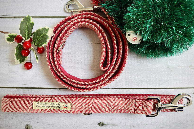 Don’t Forget the Dog - Christmas Candy Cane Tweed Dog Lead (metal clasp)