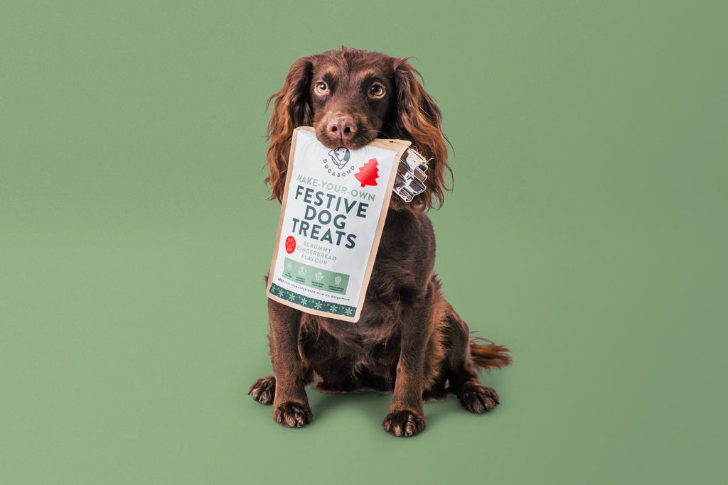 Dog & Bond Make Your Own Festive Treats