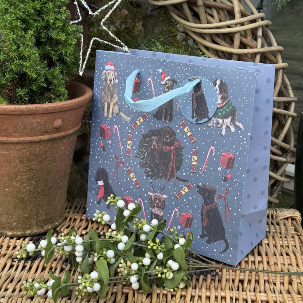 Alex Clark Gift / Bottle Bag