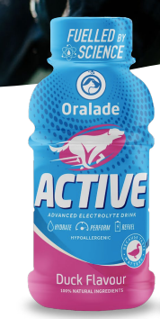 Oralade Active - Rehydration Support