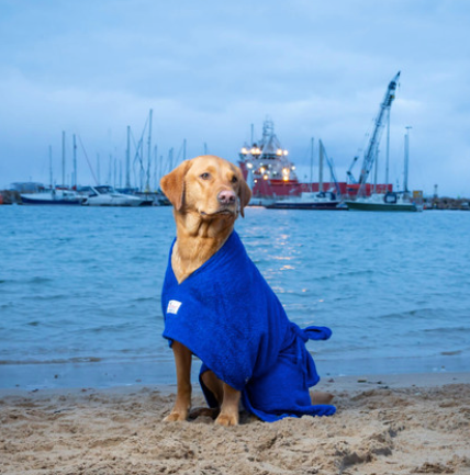 Dog bathrobe hot sale