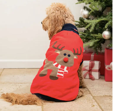 Christmas Reindeer Dog Jumper