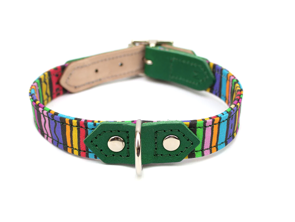 Hiro & Wolf - Rainbow Stripe - Dog Collar