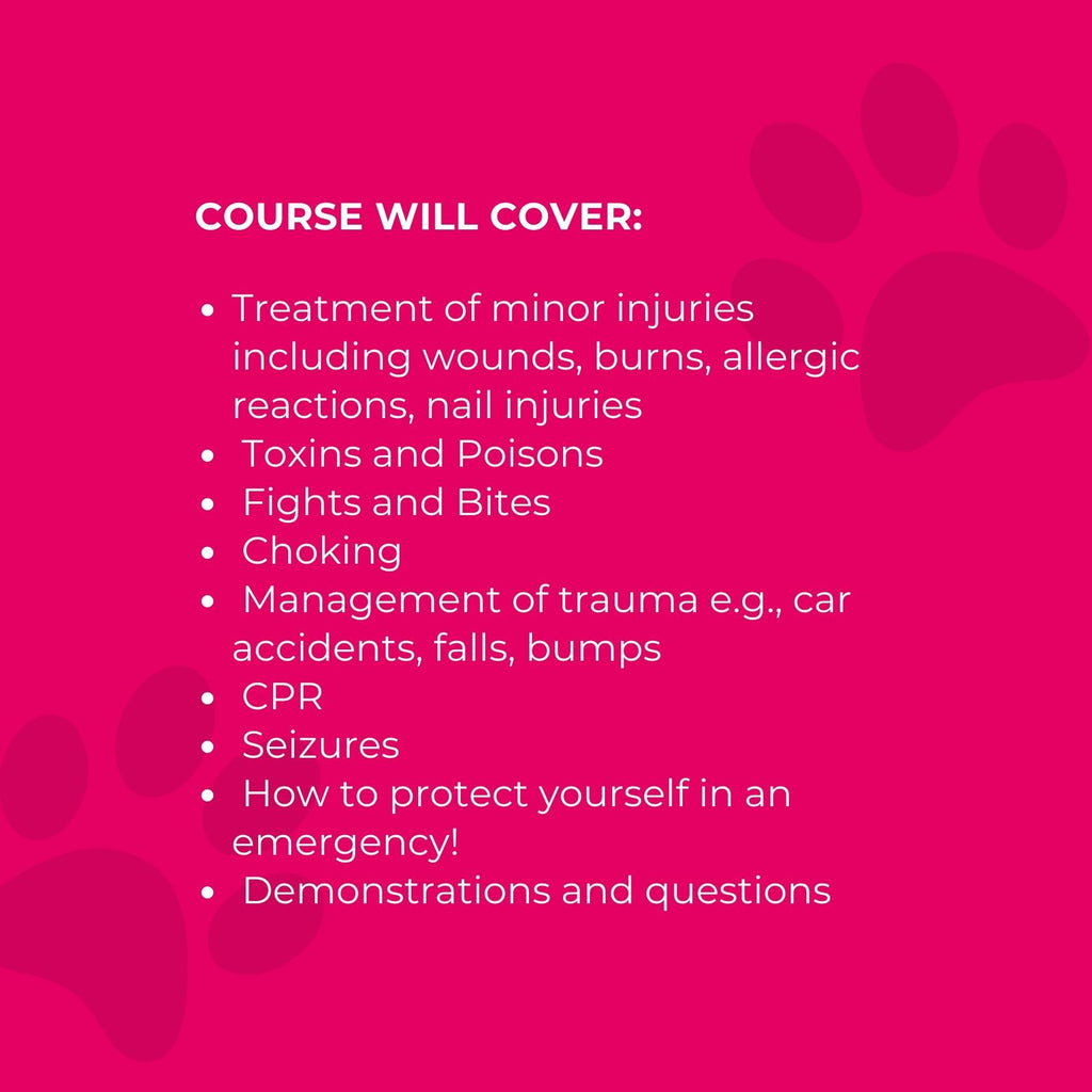 Pet First Aid Course (with Eimear Gillespie MRCVS)