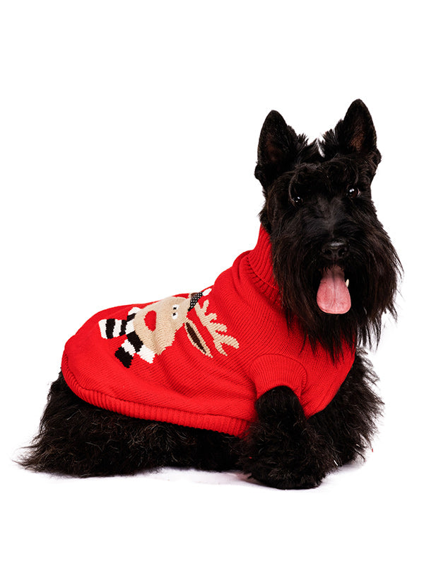 Christmas Jumpers by Urban Pup