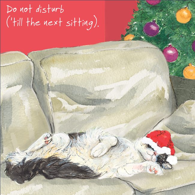 Christmas Card - Cat - Disturb