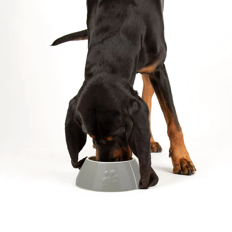 Tomoni dog bowl sales uk