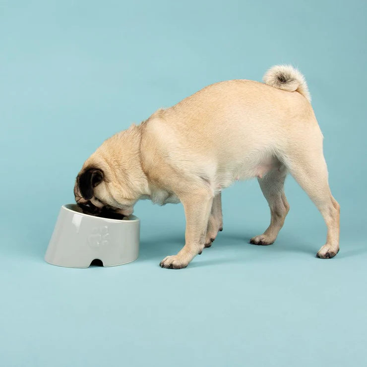 Flat clearance dog bowl