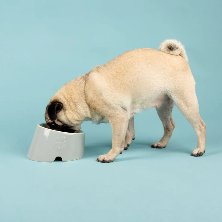Dog Bowls & Mats – Murphy & Bailey