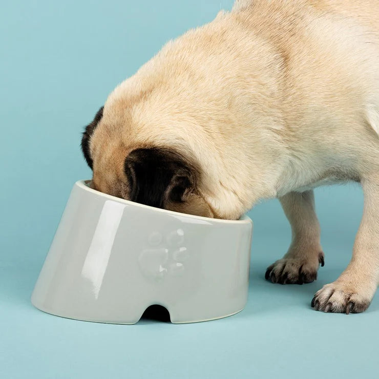 Food bowls for flat faced dogs sale